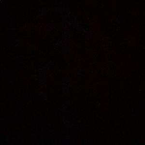 Meet your Posher, Paige